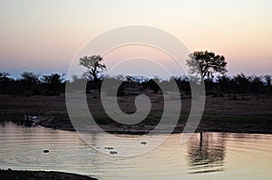 Safari, dawn, pond, Kruger National Park, Limpopo and Mpumalanga provinces, South Africa, nature, landscape