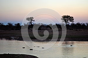 Safari, dawn, pond, Kruger National Park, Limpopo and Mpumalanga provinces, South Africa, nature, landscape