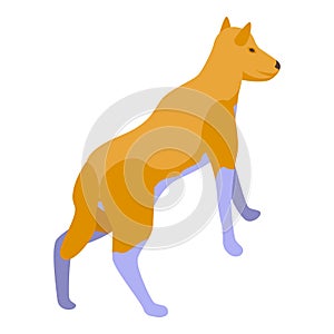 Safari dog icon isometric vector. Wild animal