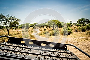 Safari drive in Tarangire National Park, Tanzania