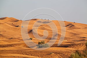 Safari in the Dubai desert