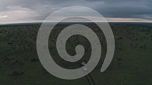 Safari game drive at dawn in Laikipia, Kenya, Africa. Aerial drone vie