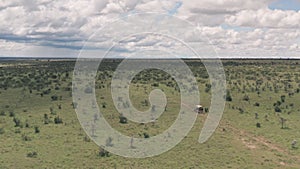 Safari game drive in Laikipia, Kenya. Aerial drone following 4 wheel drive driving through African