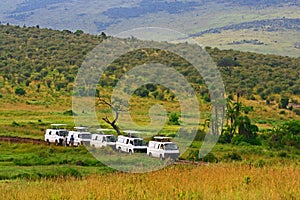 Safari game drive in Maasai Mara National Reserve, Kenya