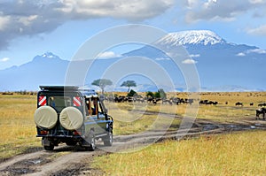 Safari game drive with the wildebeest photo