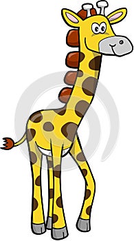 Safari Giraffe Vector