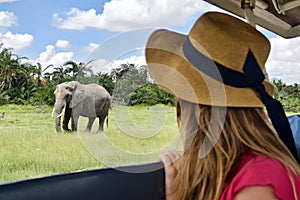 Safari holiday. Wildlife photography in Kenya, Tanzania. Blond woman watching african elephants from roof of a safari