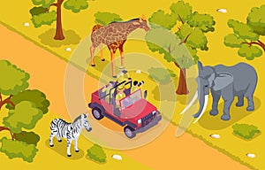 Safari Isometric Colored Composition