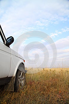 Safari by jeep.