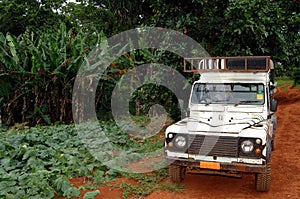 Safari jeep on dirt road