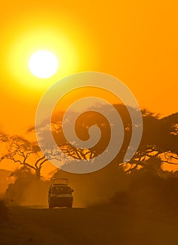 Safari jeep driving through savannah in the sunset