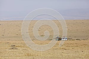 Safari jeep for Game drive at Masai Mara