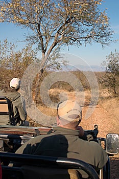 Safari jeep on the go photo