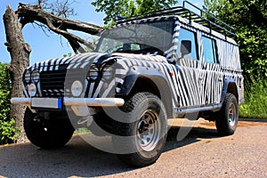 Safari jeep with a zebra pattern drives through a beatiful nature full of trees and bushes of a national park of Europe