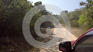 Safari Jeeps Drive on Rough Dirt Road 2