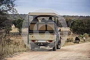 Safari landscape