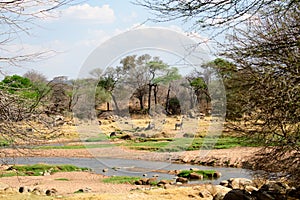 Safari landscape in Ruaha