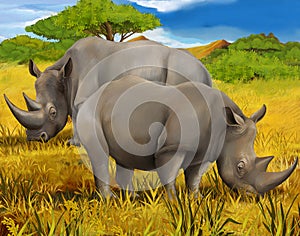 Safari - rhino - illustration for the children