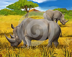 Safari - rhino - illustration for the children