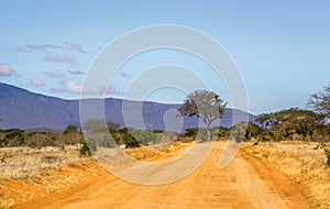 Safari road in Kenya