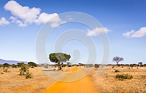 Safari road in Kenya