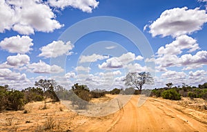 Safari road in Kenya