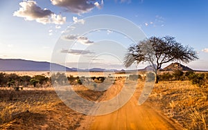 Safari road in Kenya