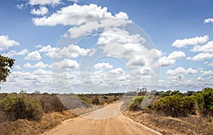 Safari road in Kenya