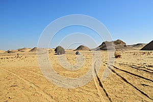 Safari in the Sahara desert, Egypt