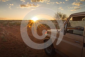 Safari at the sunset, Namibia