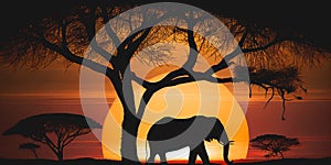 Safari sunset tree silhouette with Elephant