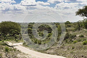 Safari in Tarangire