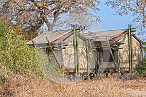 Safari Tent