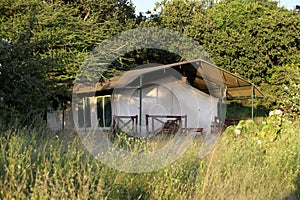 Safari tent