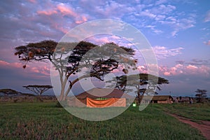 Safari tented camp in savannah