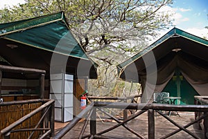 Safari tents