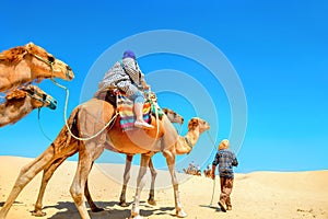 Safari tourism on camels. Sahara desert, Tunisia, North Africa