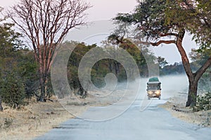 Safari tourist on game drive in Botswana