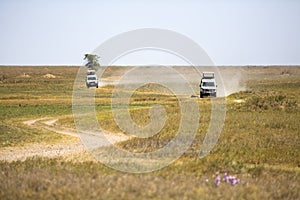 Safari tourists on game drive in Serengeti