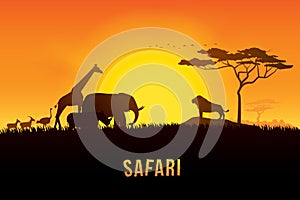 Safari Vector illustration of Africa