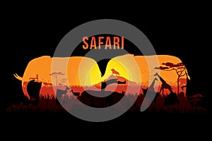 Safari and wildlife