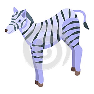 Safari zebra icon isometric vector. Africa animal