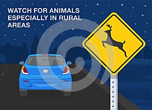 Safe car driving rules and tips. Watch for animals especially in rural areas at night. Night city road.