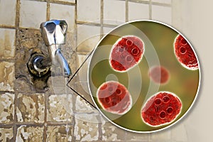 Safety of drinking water concept, 3D illustration showing cysts of Giardia intestinalis protozoan, the causative agent of