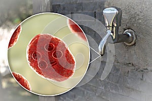 Safety of drinking water concept, 3D illustration showing cysts of Giardia intestinalis protozoan, the causative agent of