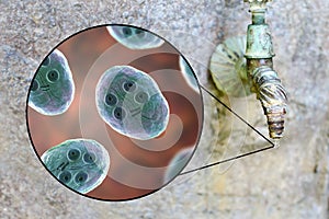 Safety of drinking water concept, 3D illustration showing cysts of Giardia intestinalis protozoan, the causative agent of