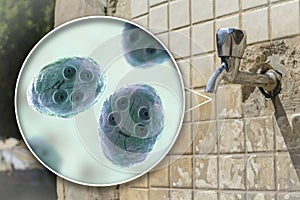 Safety of drinking water concept, 3D illustration showing cysts of Giardia intestinalis protozoan, the causative agent of