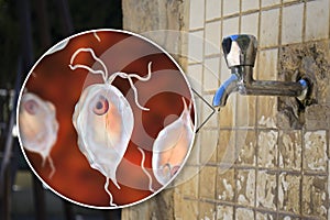Safety of drinking water concept, 3D illustration showing Pentatrichomonas hominis protozoan in water. Also known as Trichomonas