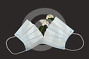 Safety face mask cut in the middle and white flowers in it. Concept of recovering or quarantine cancellation. Mockup, space for