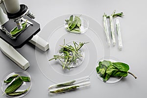 Safety food. Laboratory for food analysis. Herbs, greens under microscope on grey background top view